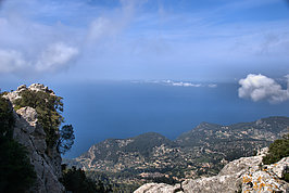 DSC06003 -1_t.jpg